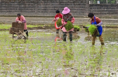 春好正是耕种时！平远各地抢抓农时不误春耕
