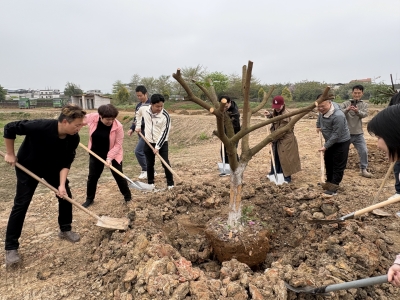 凝聚“网”力添新绿！梅州市网络传播协会开展义务植树活动