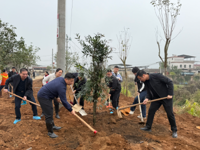党建引领添新绿 干群同心绘振兴！蕉岭县广福镇开展乡村绿化主题植树活动