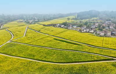 学习手记 | 抓好春耕生产，总书记念兹在兹