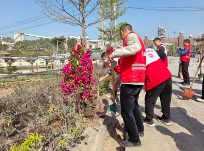 政企携手添新绿！蕉岭文福镇以植绿护绿行动助力生态建设