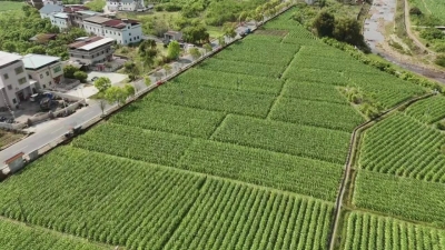 实干攻坚提质效 绘就发展新画卷！梅县区隆文镇全力推进典型镇建设