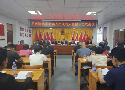 丰顺龙岗镇第十七届人民代表大会第十三次会议召开
