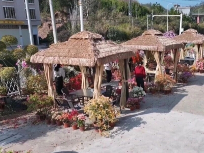 平远：方寸庭院激活乡村富美“新引擎”