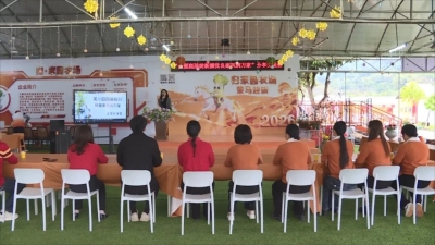 同植幸福树 共建绿美家！丰顺县开展纪念“三八”国际妇女节116周年系列活动