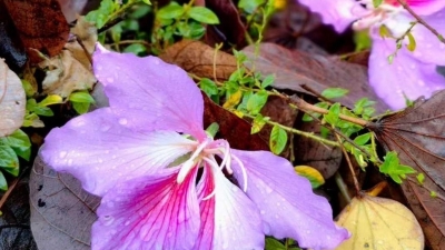 【渐冻人钟展峰专栏】渴