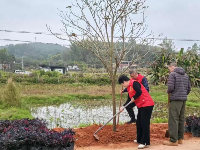 干群同心添新绿 扮靓乡村启新程！梅县区水车镇鹅峰村开展植树活动