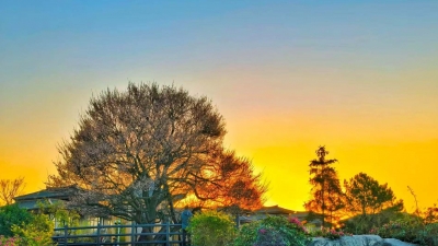 邹新茂 | 岁月如歌七十秋——一位参战老兵的七十抒怀