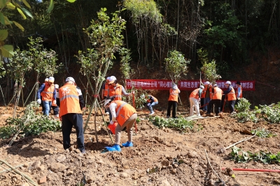 种下一片新绿！中国电信广东梅州分公司开展“同心植绿树，共筑生态美”主题党日暨结对共建植树活动