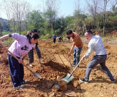 团市委开展绿美梅州“千村增绿先锋行”主题党日暨共建青年林植树活动
