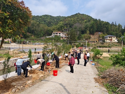 “中行·公积金‘杏’福林廊”植树活动举行