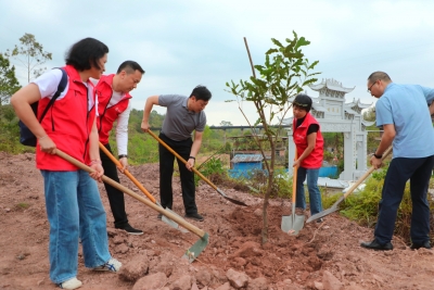 植下连片坚果树 育出生态富民林！市县共建宣传思想文化林在五华长源村落地生根