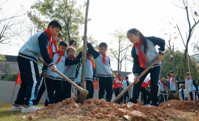 种下一抹绿，守护一座城！梅州各级团组织共赴绿色之约