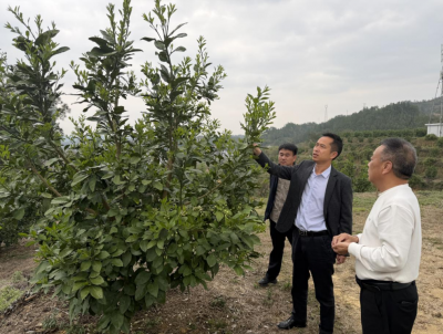 省农科院赴梅州开展院地合作工作对接