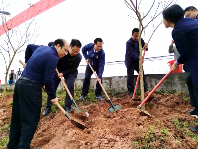“植”此青绿！梅州市委办公室开展主题党日暨结对共建植树活动