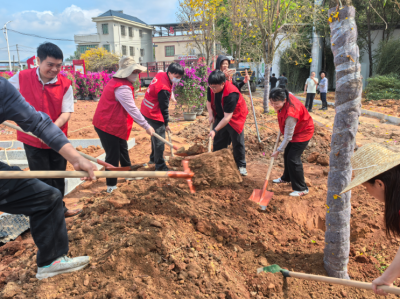植绿护美助振兴！蕉岭县文福镇联合县农科所开展植树活动  