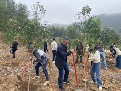 梅江区城北镇开展2026年全省乡村绿化主题植树活动