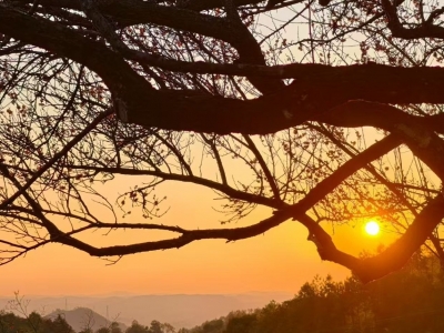 幸勇 | 浅谈客家话传统吟诵​与吟唱的区别