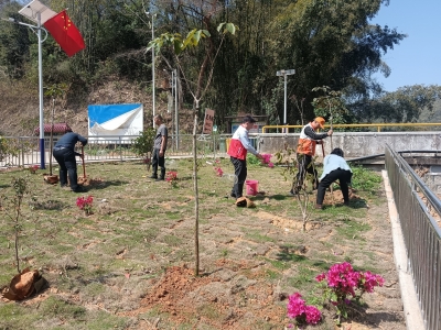 “植”此青绿 美梅与共！市供销合作社开展“爱绿植绿护绿兴绿”主题党日暨结对共建植树活动