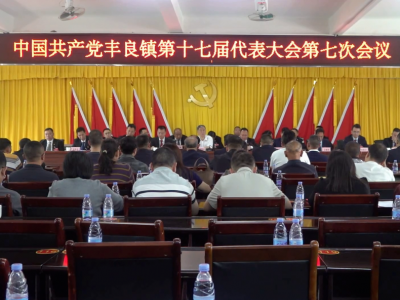 丰顺县丰良镇第十七届代表大会第七次会议召开
