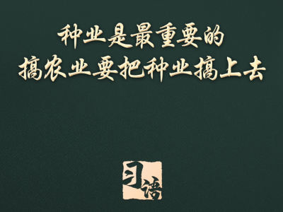 习语丨一粒小小的种子，何以让总书记如此牵挂？