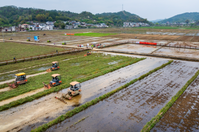 打好春耕“主动仗”，夯实根基保丰收！2026年全市春耕生产现场会议召开