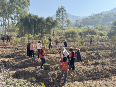 春风执笔绘新绿 民企聚力筑“丽江” ！蕉岭县工商联携手各界共植“百千万工程”生态长卷