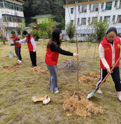大埔丰溪保护区开展义务植树活动
