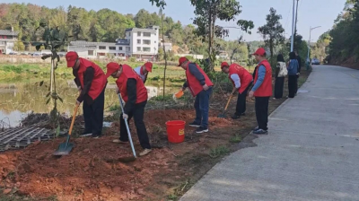 为绿美乡村添新绿！梅县区畲江镇开展“双联双建”义务植树活动