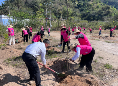 大埔县妇联开展“同植幸福树 共建绿美家”植树活动