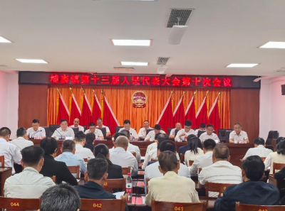 凝心聚力启新程  实干担当谱新篇！丰顺县埔寨镇第十三届人民代表大会第十次会议召开