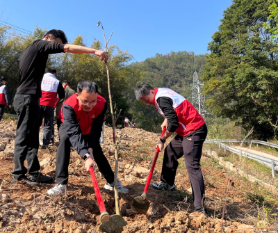 人才聚力添新绿！梅江区发动各领域人才参与义务植树活动