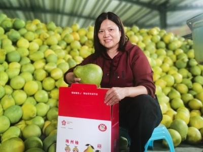 第116个“三八”国际妇女节特别报道丨张春梅，带领村民增收致富的“领路人”