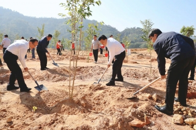 春风植绿正当时！丰顺干群积极参加推进绿美广东生态建设义务植树活动