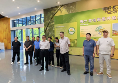 深化交流 互学互鉴 共促发展！北京市门头沟区政协来梅考察行业商协会助力营商环境工作