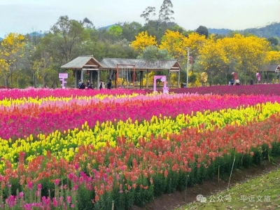 平远喊你过女神节！吃住游花式宠你，赴一场春日美好之约