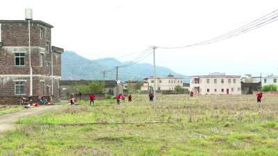 不误农时不误春！平远各地春耕备耕一片繁忙