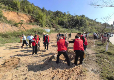 党建引领添新绿 干群同心树春晖！大埔高陂镇开展义务植树活动
