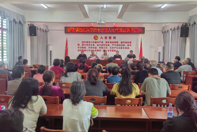 兴宁市新陂镇开展人大代表述职评议会