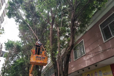 17:22接收反映断枝隐患，18:35处置完毕！点赞梅江区梅南社区