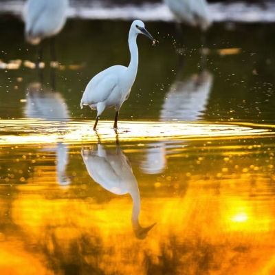 罗鑫 | 不要让笑话变成现实