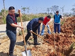 深耕“百千万” 添绿“生命线” ！丰顺县埔寨镇人大开展植树造林 暨绿美生态建设视察活动 