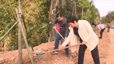 丰顺县人大常委会组织人大代表开展植树造林活动
