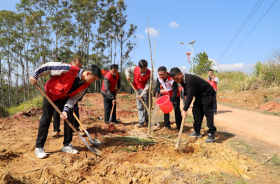 兴宁市罗岗镇开展“上灯添绿・植树寄情”主题植树活动
