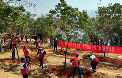 携手添新绿 共绘寿乡美！蕉岭县直单位党员干部下沉一线开展义务植树活动