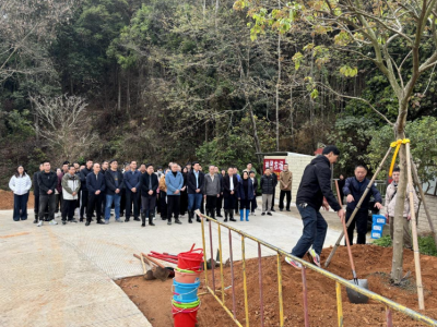 以技兴绿赋能绿美乡村建设！梅江区三角镇开展2026年乡村绿化技术培训及主题植树活动