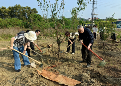 为绿美梅江再添新绿！梅江区司法局开展乡村绿化“结对共建林”建设 