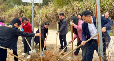 兴宁市妇联开展“婆媳话和美·同植幸福树”婆媳互夸活动