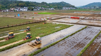 打好春耕“主动仗”，夯实根基保丰收！2026年全市春耕生产现场会议召开