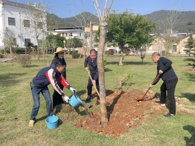 “植”此青绿映初心！蕉岭新铺镇开展主题植树活动